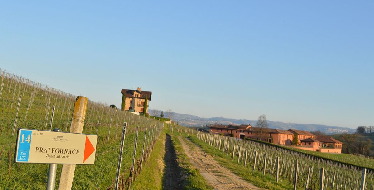 La Grape’s Road di Tenuta Carretta