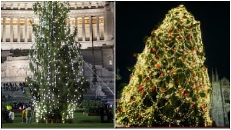 L'albero di Natale di Roma e quello di Milano: il fotoconfronto