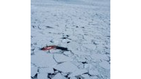 L'Artico sta male: ghiaccio sempre più vicino al minimo storico del 2007