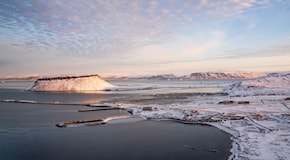 Virus giganti nei ghiacci della Groenlandia, la scoperta che potrebbe rallentare lo scioglimento nell'Artico
