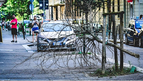 Danni a auto, tetti, alberi dopo la grandinata Torino si scopre fragile