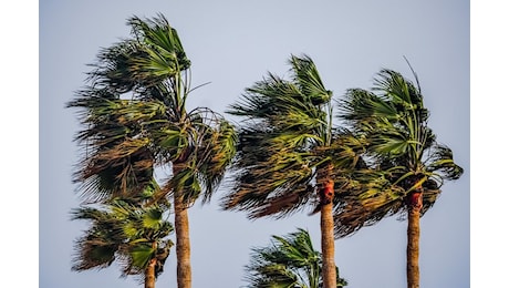 Trani: Allerta meteo gialla per forte vento per tutta la giornata del 22 novembre