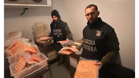 Guardia Costiera, blitz contro la pesca illegale: sequestrate due tonnellate di pesce illegale