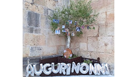 Un albero di ulivo, fiori, foto ricordo e una poesia incisa su legno per festeggiare oggi i nonni di Scurcola Marsicana