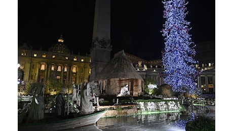 Si accende l'albero di Natale in piazza San Pietro