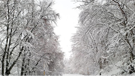 Freddo, pioggia e neve anche a bassa quota. Allerta arancione in Emilia Romagna e Calabria