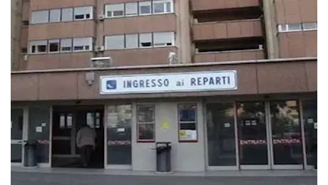 Due feti morti trovati in un armadio: orrore a Reggio Calabria, indagata una ragazza di 24 anni