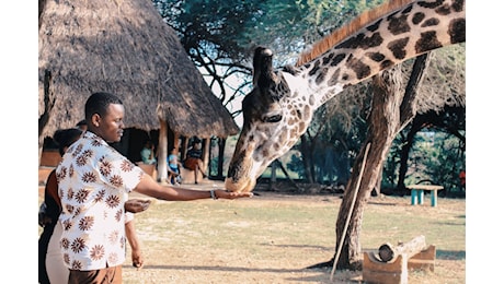 Quanto costa un viaggio in Kenya e fare un safari lì? Eccolo svelato