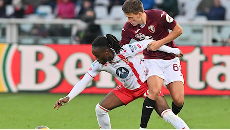 Torino-Monza 1-1: Djuric risponde a Masina, granata contestati