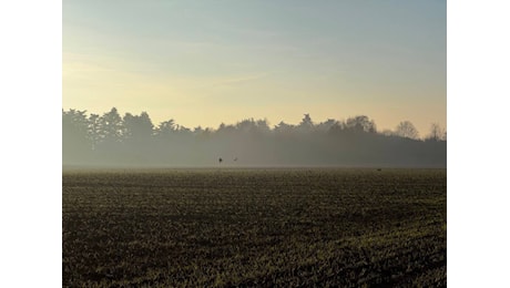 Anche a Santo Stefano si potrà passeggiare sotto un bel sole invernale