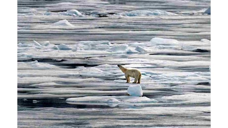 Polo Nord a rischio, la situazione si complica: problemi grossi con i ghiacciai