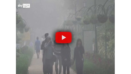 Meteo Video Sky: India, Nuova Delhi avvolta dallo Smog a causa degli incendi dei campi agricoli