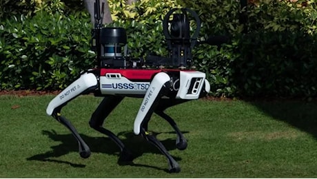 Un cane-robot difende Trump nella residenza di Mar-a-Lago. Sulle zampe la scritta: «Non accarezzarmi»