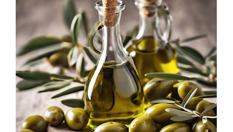 Produzione olio evo Sicilia, crollo storico e salasso per i consumatori