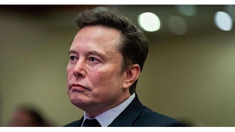 Musk, 'Zelensky il più grande campione di furti'