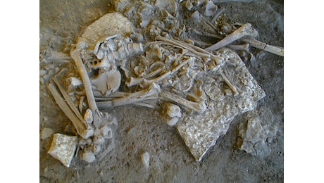 La peste esisteva già nel Neolitico: nuove prove riscrivono la storia delle epidemie | FOTO