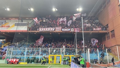 Sampdoria-Salernitana 1-0. Festa blucerchiata a Marassi, incubo C per i granata
