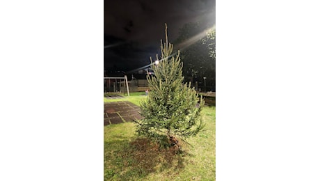 Anche a Capizzaglie si respira l’aria natalizia con l’albero di Natale di Quartiere