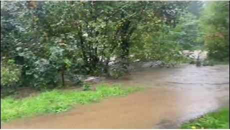 A Ferrania, in Liguria, esonda il fiume Bormida: l'acqua invade viale della Libertà