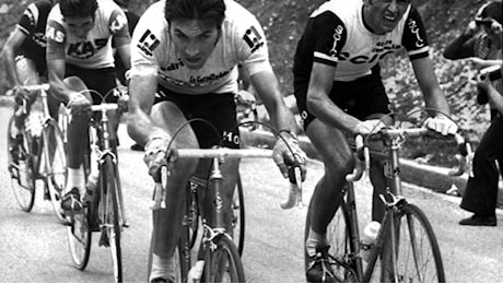 Merckx: Pogacar? Non ci credevo... E avrebbe battuto anche me