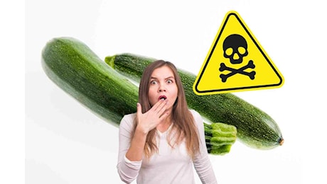 Zucchine verdi contaminate e pericolose per la salute: ritirati diversi lotti da un noto supermercato