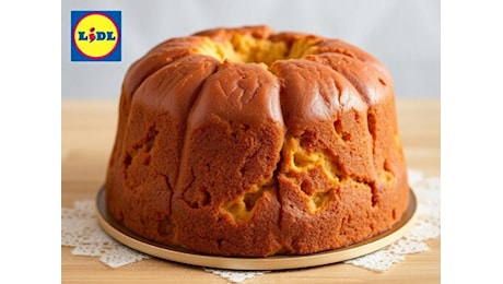 Scopri chi produce davvero il panettone Lidl: una verità sorprendente!