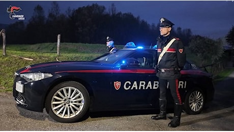 Non era infarto, ma omicidio: l'operaio albanese morto alla Smurfit Kappa di Lunata è stato ucciso con un colpo di arma da fuoco. I carabinieri fermano l'assassino