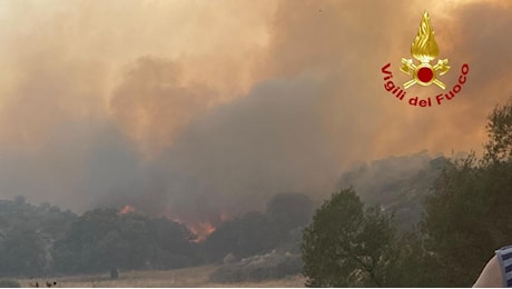 Incendi in Sardegna, assessora 'ancora impossibile stima danni'