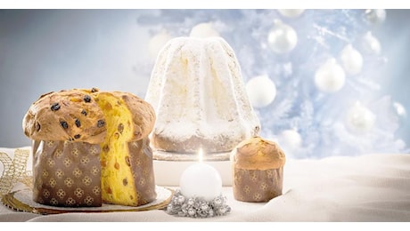 Panettone e Pandoro, previsioni positive per le vendite natalizie