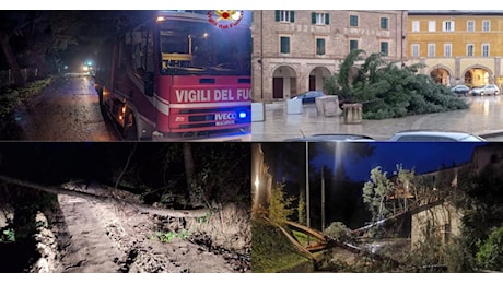 Il vento fa danni: cade l'Albero di Natale a San Severino, strade chiuse a Urbisaglia e Camporotondo