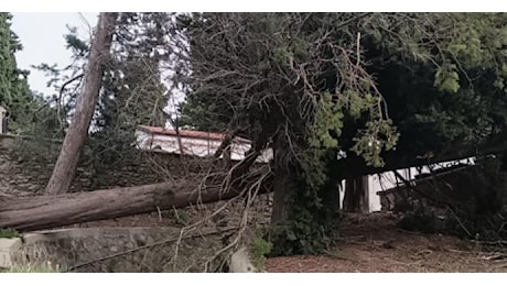 Tempesta di Vento si abbatte in Calabria: tantissimi danni soprattutto a Cosenza