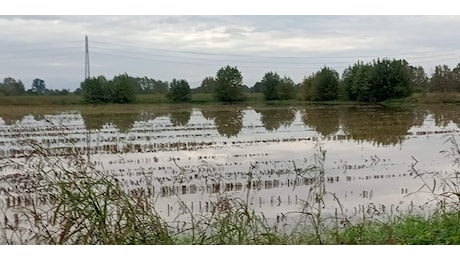 Il maltempo e l'agricoltura: campi allagati, raccolti e semine bloccate