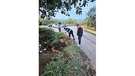 Lamezia, scarsa manutenzione di fiumi, strade e ponti mette paura ai residenti di Lagani e Misà