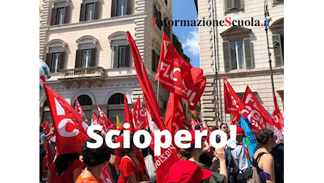 Sciopero della Scuola: Adesione al 5,65% secondo i Dati del Ministero