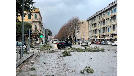 Tempesta di vento a Messina: alberi caduti e danni ingenti