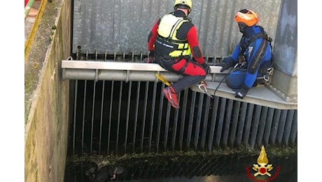 Riaffiora un cadavere nell’Adda: il ritrovamento nelle acque del fiume a Cornate