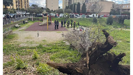 Dramma a Colli Aniene: albero crolla e travolge due amiche, una muore