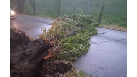 Torna l’allerta maltempo per forti temporali e vento in Emilia-Romagna