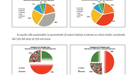 Valditara lega l'aumento della violenza sessuale agli immigrati irregolari. I dati non dicono proprio questo