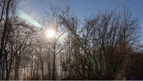 Meteo: allerta arancione in Sicilia, scuole chiuse in molti Comuni. Al Nord da domani in arrivo aria più fredda