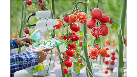 ZES unica: al via il credito d’imposta per le imprese attive nella produzione primaria di prodotti agricoli