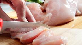 Un'inchiesta svela cosa c'è dietro i polli venduti nei supermercati della Lidl: i batteri resistono agli antibiotici