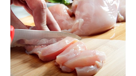 Un'inchiesta svela cosa c'è dietro i polli venduti nei supermercati della Lidl: i batteri resistono agli antibiotici