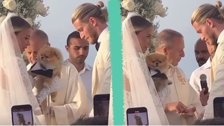 Il cane Lillo porta le fedi al matrimonio di Diletta Leotta e Loris Karius: il video