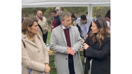 Pompei, si cambia: accesso limitato agli scavi della città sepolta dal Vesuvio