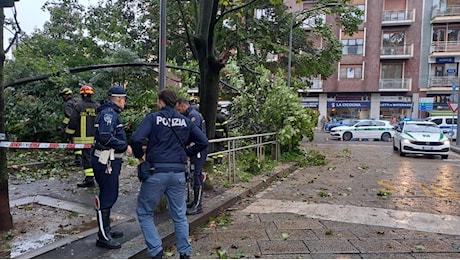 Maltempo, alberi caduti a Milano: 2 feriti