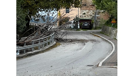 Forte garbino e danni: raffiche di vento in tutta l’Emilia Romagna