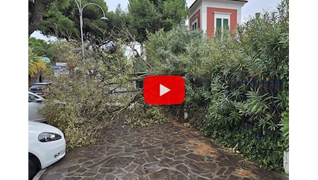 Meteo Diretta: Marche, raffiche di vento fortissime a Giulianova, ci sono danni. Video