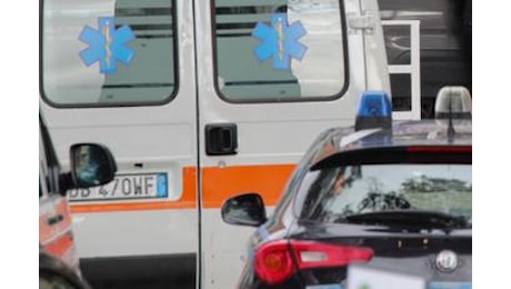 Schiacciato da camion in sua azienda, morto 56enne in Sardegna