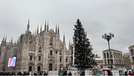 A Milano Natale con 27 alberi nel segno dei Giochi 2026